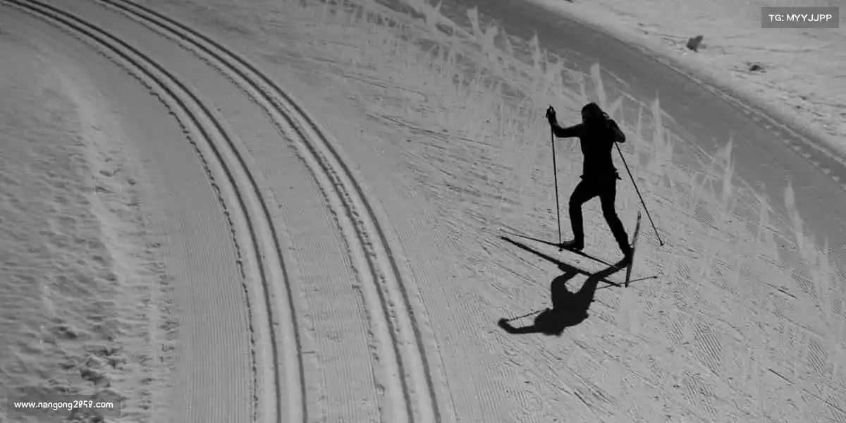 我们的核心竞争力